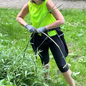 A woman in a hi-vis top clearing invasive Himalayan balsam in a woodland