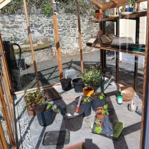 A greenhouse filled with pots of home-grown seedlings and plants